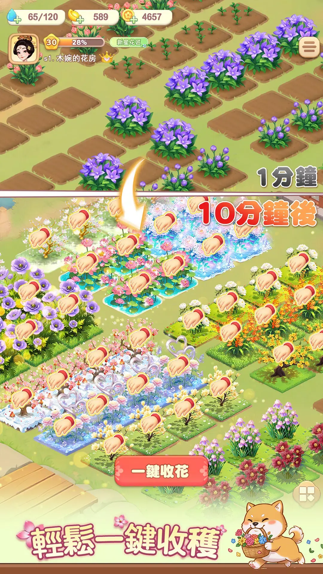 我的花园世界港台服