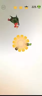 乱啄的鸽子PigeonPop