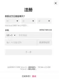 TikTok免安装入口在哪？在线免费看视频的3种方法