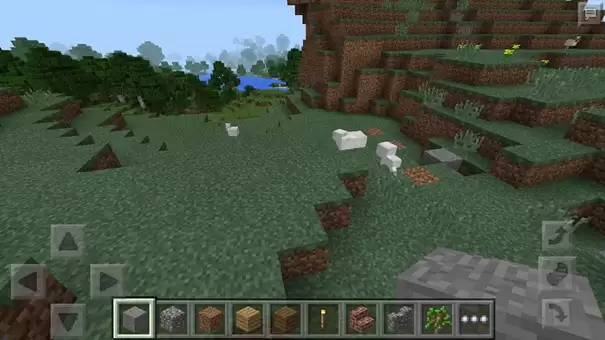 我们的世界生存与创造