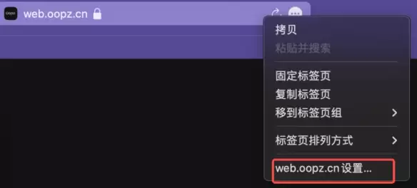 oopz网页麦克风权限开启方法