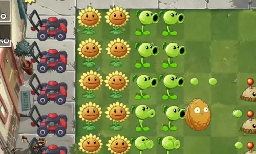 植物大战僵尸