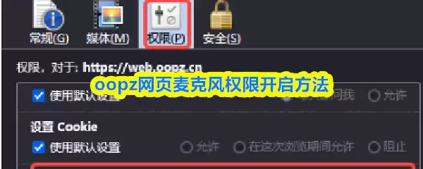 oopz网页麦克风权限开启方法