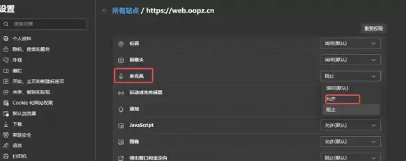 oopz网页麦克风权限开启方法