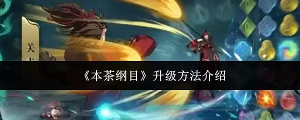 本茶纲目升级指南：5个实用方法提升品质