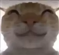 鼠鼠偷吃模拟器