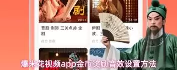 爆米花视频设置页面示意图