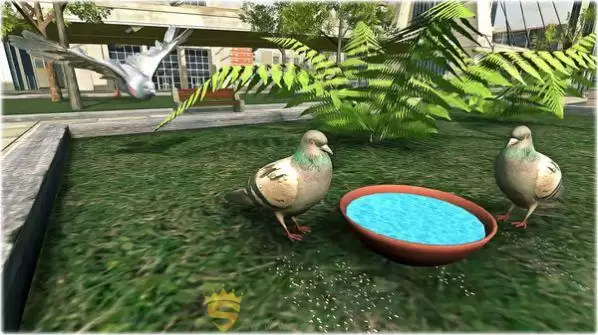 鸽子生存模拟