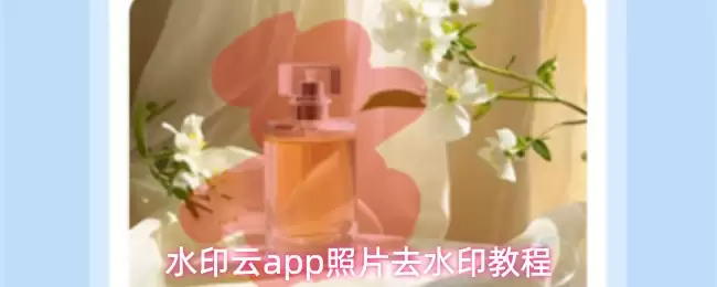 水印云app照片去水印教程
