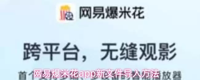 网易爆米花app新文件导入方法