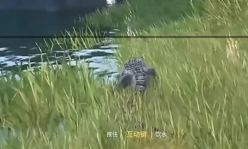 《龙岛异兽：起源》寻找水源