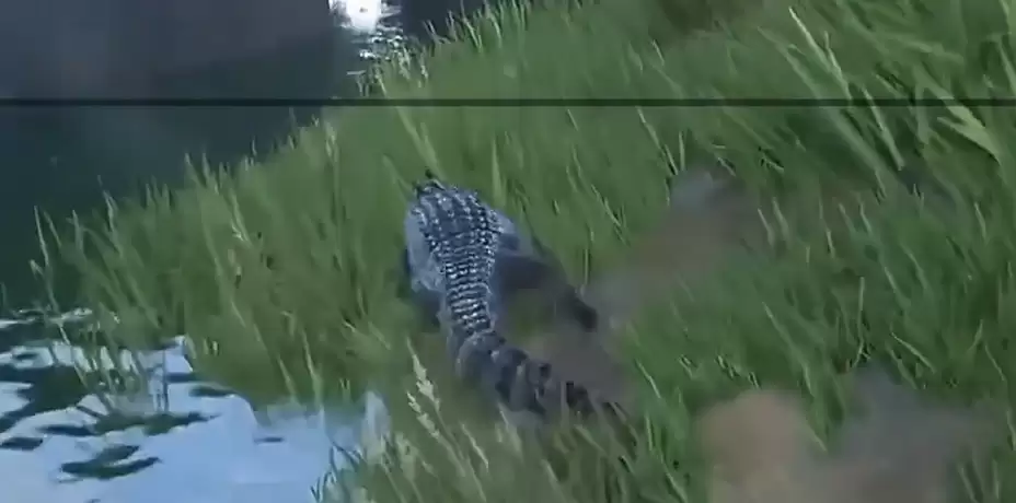 《龙岛异兽：起源》隐藏水源示例