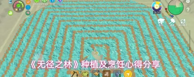 《无径之林》种植及烹饪心得分享