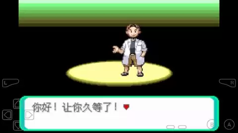 口袋妖怪绿宝石全随机