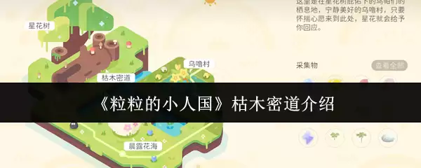 《粒粒的小人国》枯木密道介绍