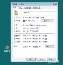 ACDSee显示隐藏文件选项设置界面