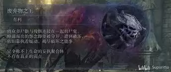 艾尔登法环DLC攻略:对抗弃置空者,解析新增敌人抗性