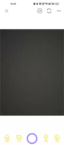 宠物相机app拍摄与编辑界面