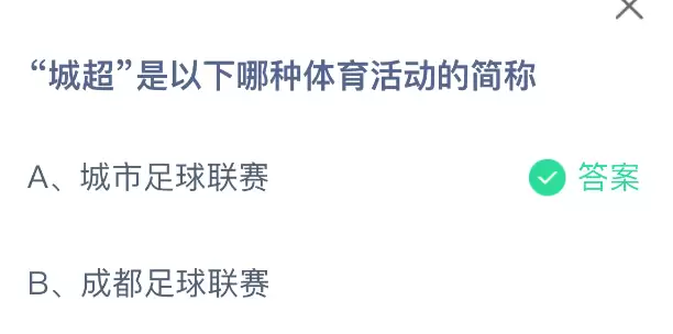 城超赛事场景示意图