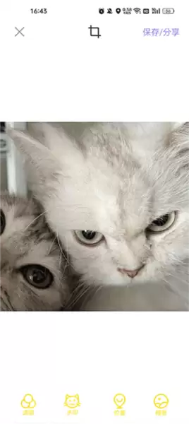 宠物相机app相册管理界面