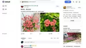 百度贴吧页面布局示例