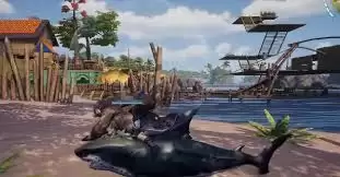 阳光下的荒野之息海面