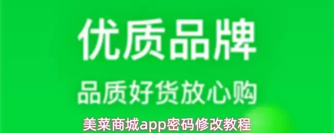 美团商家App密码修改教程：4步轻松重置安全密码