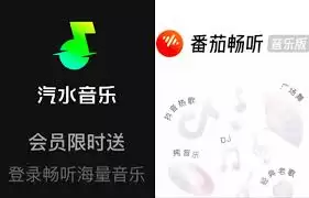 番茄音乐播放历史如何查看？最近播放记录查询方法