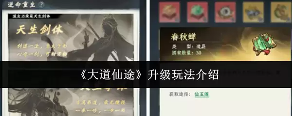 《大道仙途》升级玩法介绍