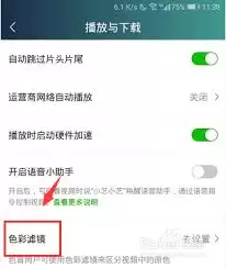 蓝莓视频APP过滤镜设置教程，3分钟轻松调出电影感
