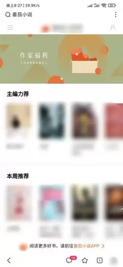 番茄小说官网界面