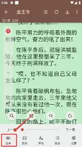 繁花小说App个性化推荐界面示意图