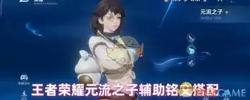 王者荣耀元流之子刺客铭文如何选择