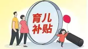 安徽育儿补贴申领指南：申请条件与领取方法详解