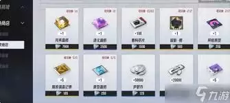 伊瑟资源怎么使用及购买