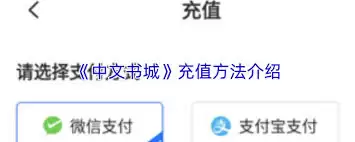 中文书城App如何选择充值方式