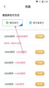 中文书城App充值指南：4种便捷方法与完整步骤