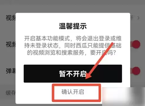 开启西瓜视频基本功能模式确认窗口