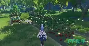 《蓝色星原旅谣》丰收场景