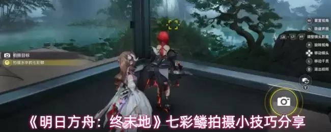明日方舟终末地七彩鸢委托全攻略：拍摄技巧实操分享