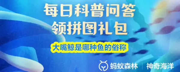 支付宝神奇海洋：大嘴鲸是哪种鱼？答案揭晓至2026.3.30