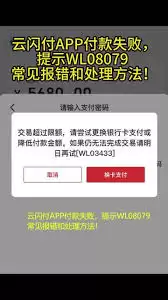 云闪付支付失败示意图
