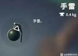 逃离鸭科夫投掷物图鉴有哪些