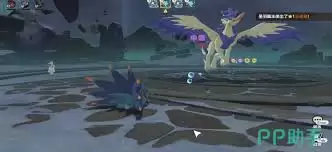 宠物搭配示意图