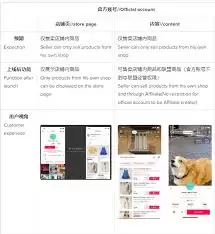 社交媒体上的TikTok官方账号