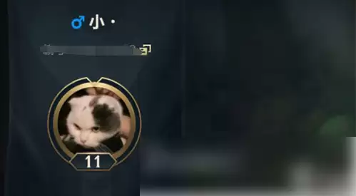 LOL手游单字ID注册与设置指南