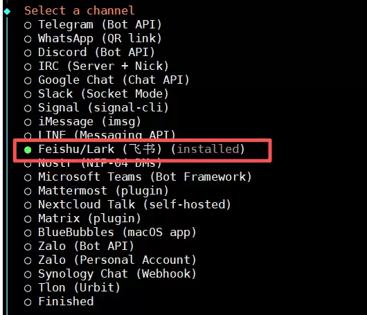 选择feishu渠道