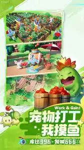 新手曙光重临攻略：从入门到精通的全流程解析