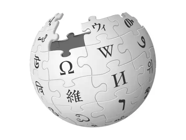 维基百科向直接用AI撰写条目说“不”，仍允许AI润色和翻译