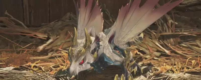 《怪物猎人物语3：命运双龙》贴合背部的鞍具成就攻略